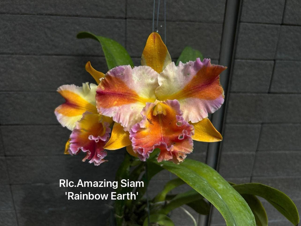 F3729F4A-7B8B-4C39-95DC-