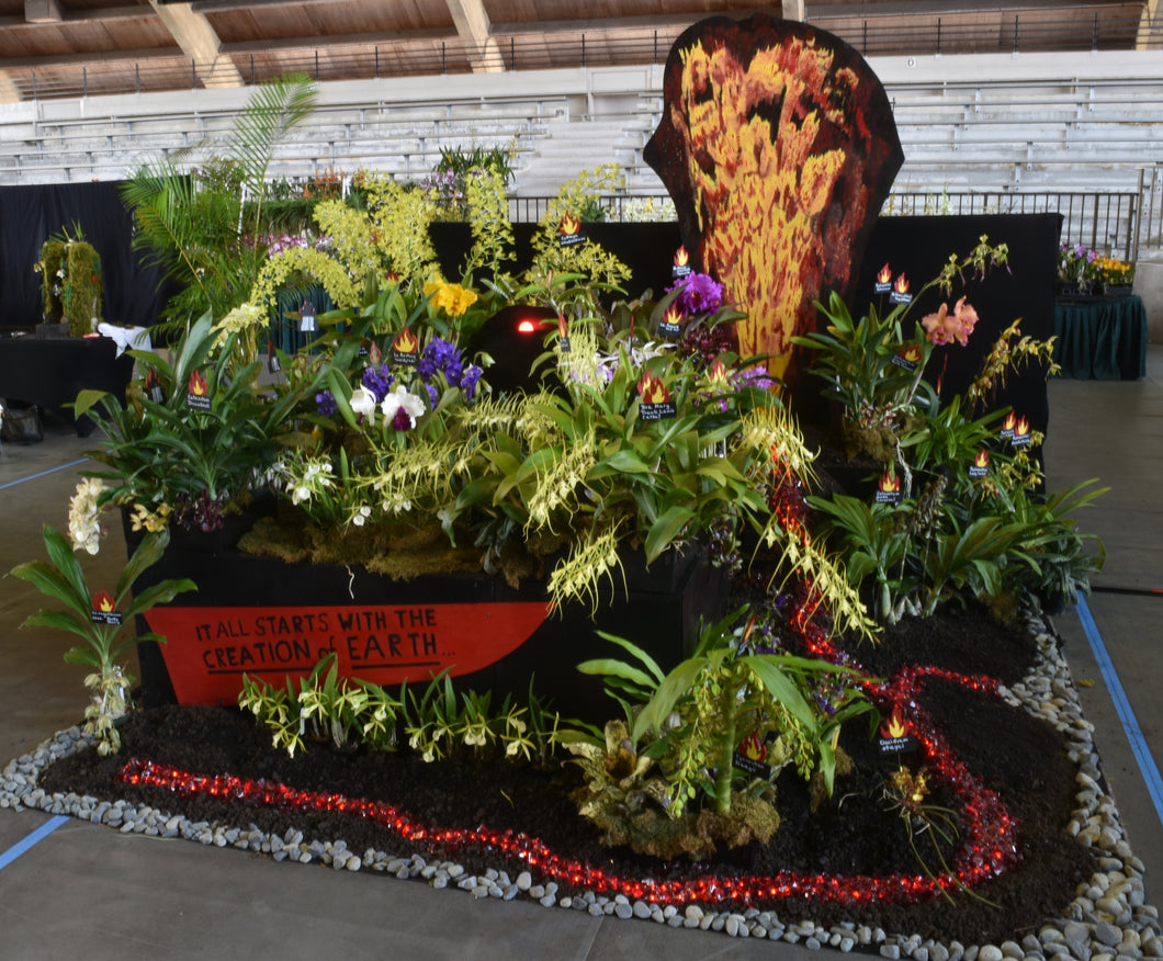 Silver certificate of the AOS and show trophy for best display in show 2025of 89 points